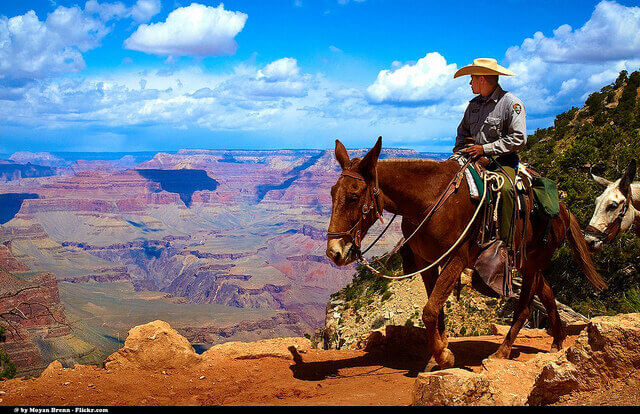 Cowboy on a horse overlooking the grand canyon