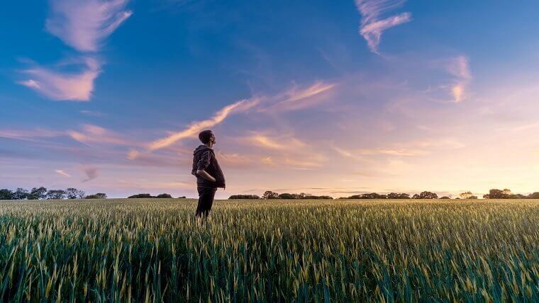 Man staning in a field staring at the sunset